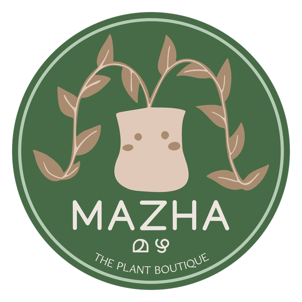 Mazha the online store